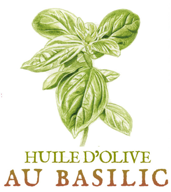huile d'olive au basilic tisane tisanes et baumes aux plantes médicinales cultivées en Bretagne à Kergrist à la ferme Un jardin sauvage par Sacha