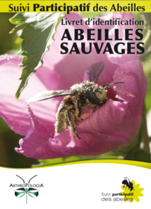 biodiversité abeilles sauvages tisane tisanes et baumes aux plantes médicinales cultivées en Bretagne à Kergrist à la ferme Un jardin sauvage par Sacha