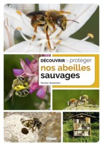 biodiversité abeilles sauvages Tisanes et baumes aux plantes médicinales cultivées en Bretagne à Kergrist à la ferme Un jardin sauvage par Sacha