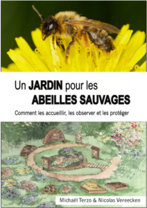 biodiversité abeilles sauvages Tisanes et baumes aux plantes médicinales cultivées en Bretagne à Kergrist à la ferme Un jardin sauvage par Sacha