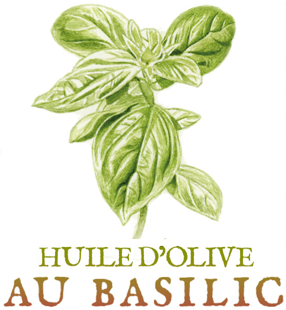 huile d'olive au basilic Tisanes et baumes aux plantes médicinales cultivées en Bretagne à Kergrist à la ferme Un jardin sauvage par Sacha