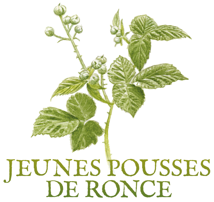 ronce Tisanes et baumes aux plantes médicinales cultivées en Bretagne à Kergrist à la ferme Un jardin sauvage par Sacha
