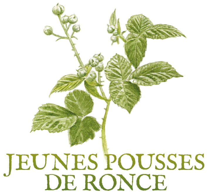 ronce tisane tisanes et baumes aux plantes médicinales cultivées en Bretagne à Kergrist à la ferme Un jardin sauvage par Sacha Tisane veinotonique varices jambes lourdes rhinopharyngite mal de gorge diarrhée angine aphte gastro-entérite anti-inflammatoire insuffisance veineuse