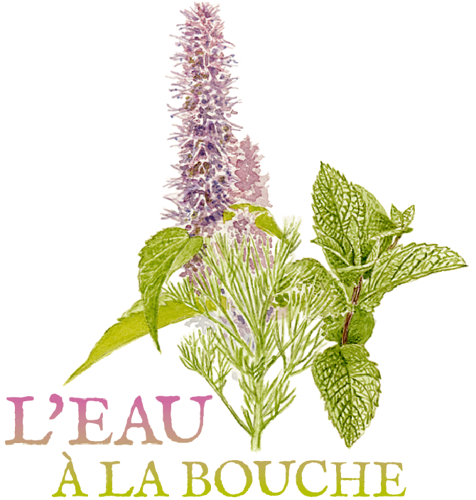 tisane digestive tisanes digestives aérophagie flatulence digestion difficile lente douloureuse ballonnements gaz troubles gastro-intestinaux crampes intestinales menthe poivrée agastache anisée armoise baumes aux plantes médicinales cultivées en Bretagne à Kergrist à la ferme Un jardin sauvage par Sacha